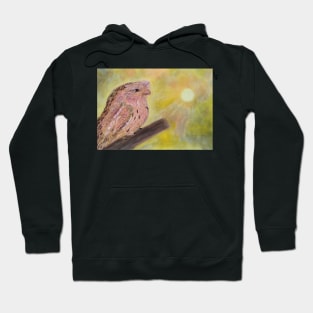 Tawny Frogmouth. Native Australian Owl Hoodie